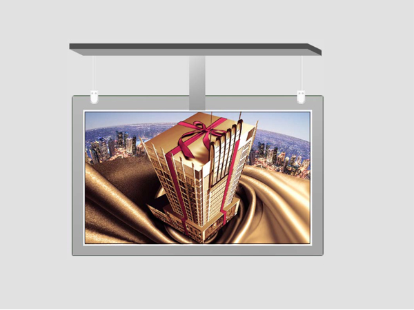 55 inch (double-sided hanging style)